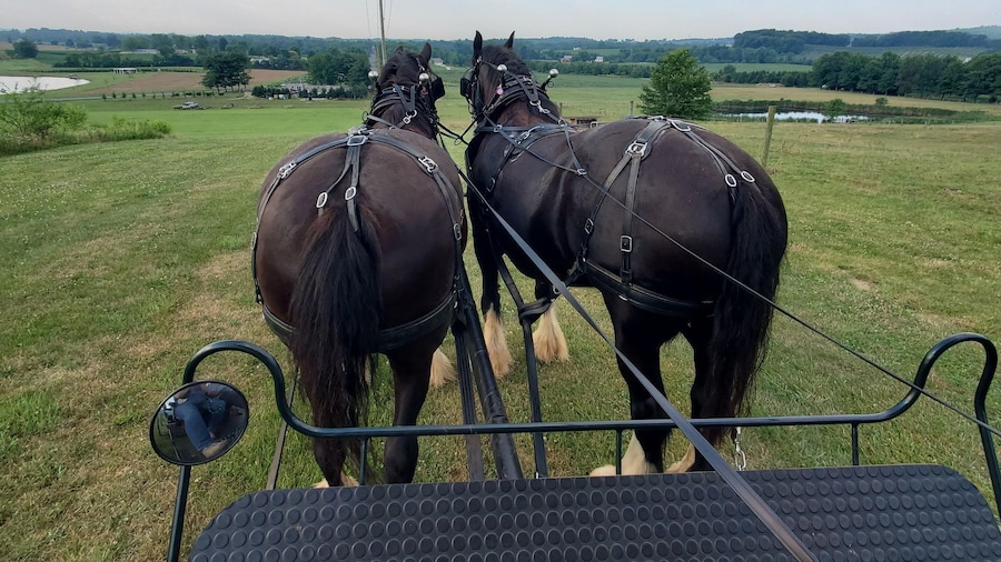 Gettysburg: Horse-Drawn Carriage Tour Countryside & Orchards