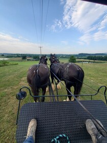 Gettysburg: Horse-Drawn Carriage Tour Countryside & Orchards