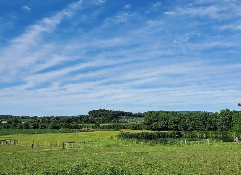 Picture 10 for Activity Gettysburg: Horse-Drawn Carriage Tour Countryside & Orchards
