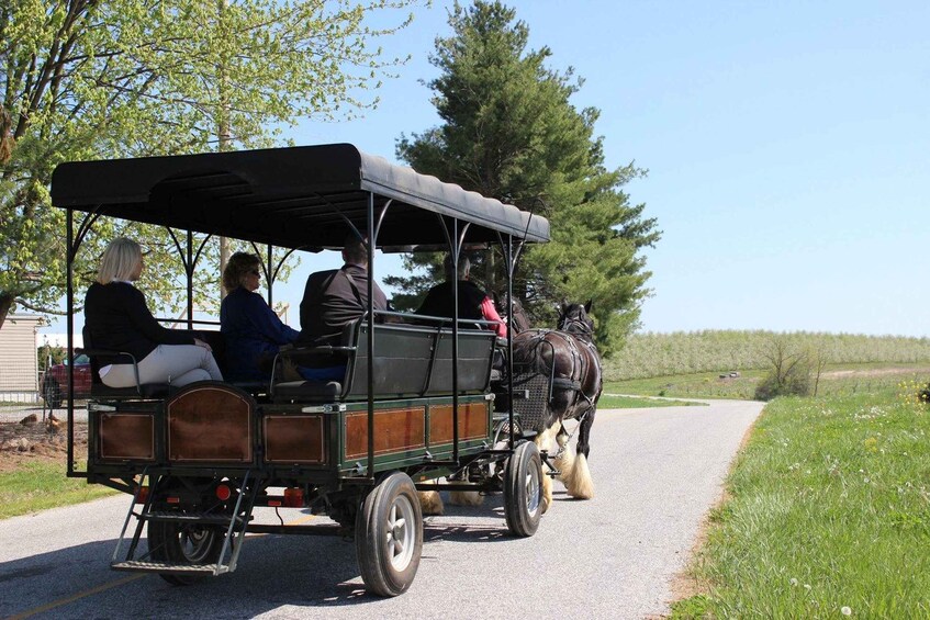 Picture 5 for Activity Gettysburg: Horse-Drawn Carriage Tour Countryside & Orchards