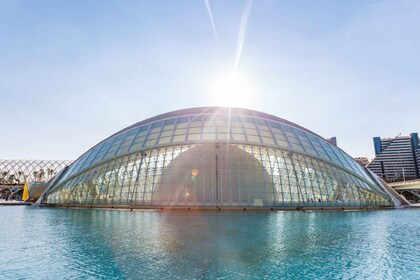 Valencia: película 3D de la Ciudad de las Artes y las Ciencias en Hemisfèri...