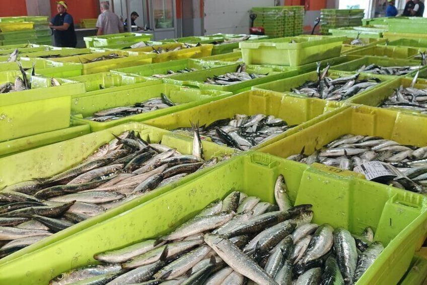 Inside the Santoña fish market 