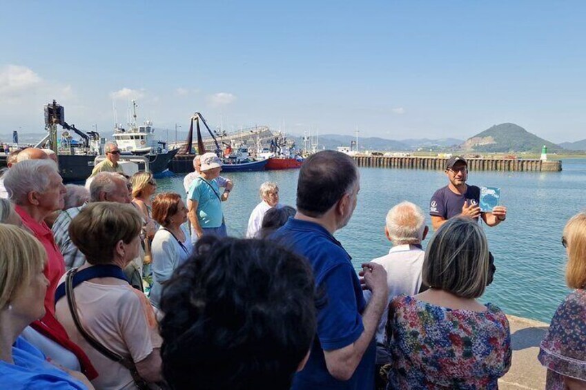 In the port of Santoña 