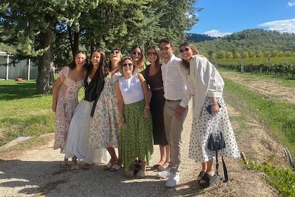 France Lavender Field and Luberon Tour