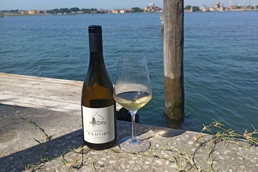 Private Wine Tasting Experience in Venice