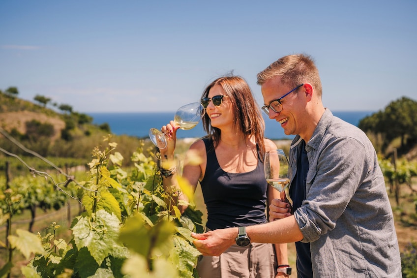 Beach Ride to the Vineyards and Wine Tasting from Barcelona