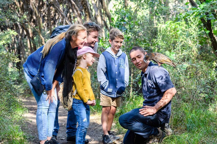 Picture 5 for Activity Kapiti Island: Classic Guided Day Tour