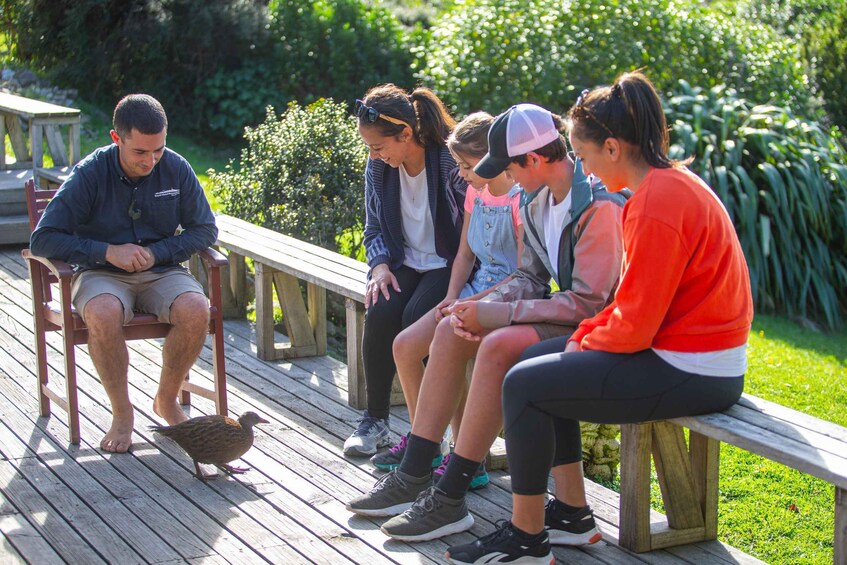 Picture 3 for Activity Kapiti Island: Classic Guided Day Tour