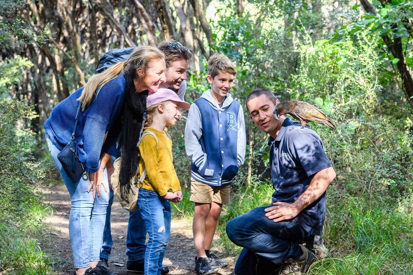 Picture 5 for Activity Kapiti Island: Classic Guided Day Tour