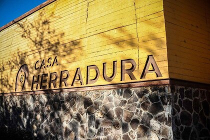 從瓜達拉哈拉出發：參觀 Hacienda Casa herradura。獨特的！