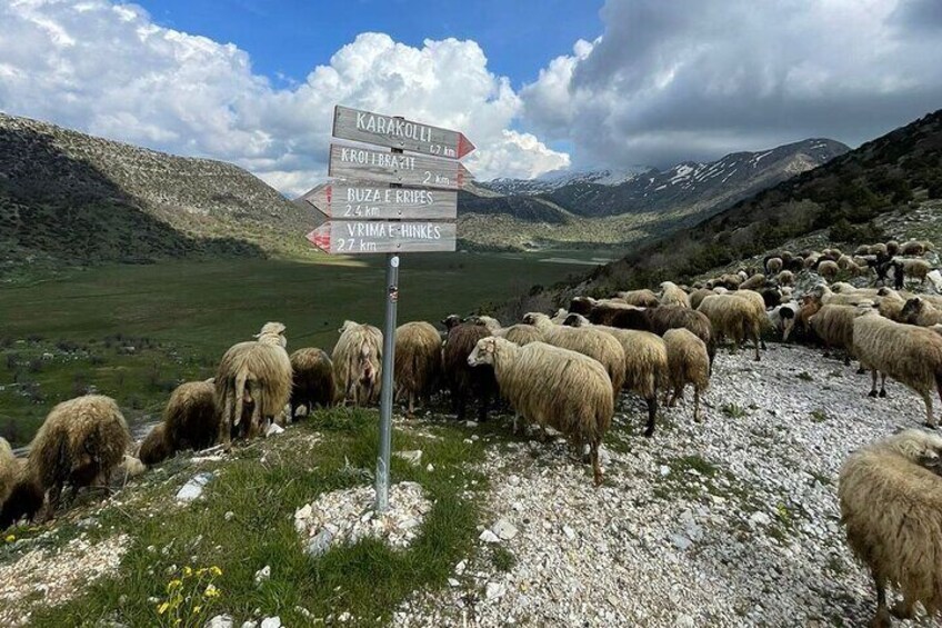 Albanian Rural Life Shepherd's Hut Tour