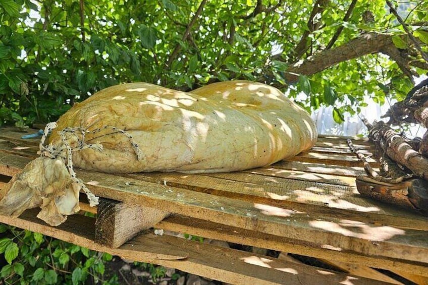 Albanian Rural Life Shepherd's Hut Tour