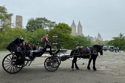NYC Empire State Horses Carriage i Central Park (55 Min)