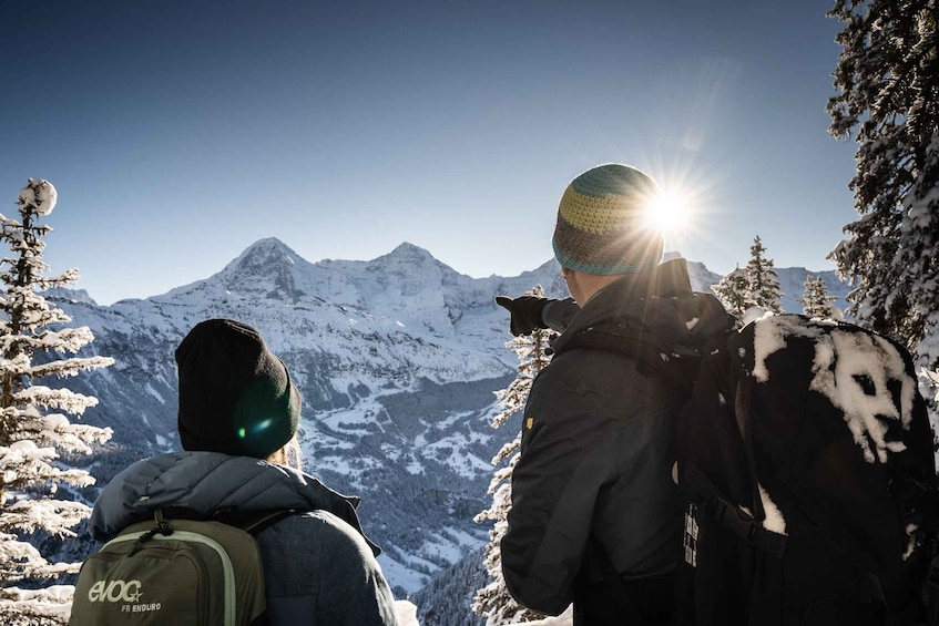 Picture 2 for Activity Interlaken: Guided Sledging Adventure