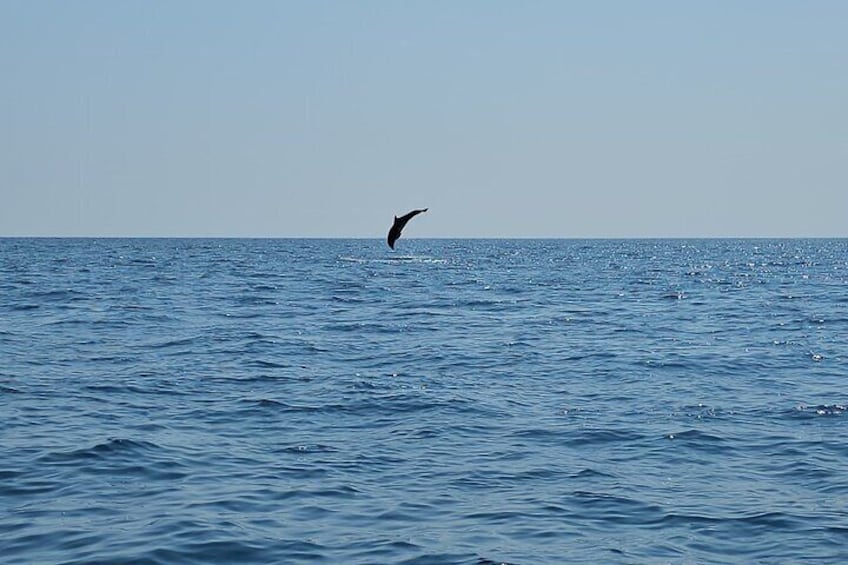 Shared Tour in Corcovado National Park, Sirena Station