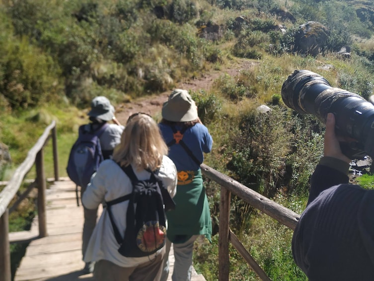 Abra Malaga birdwatching from Ollantaytambo