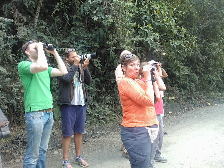 Abra Malaga birdwatching from Ollantaytambo