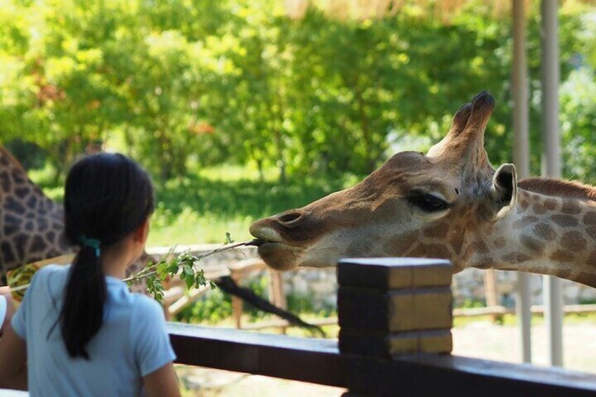 Wildlife and Ancient Expedition Tour in Teotihuacan Safari