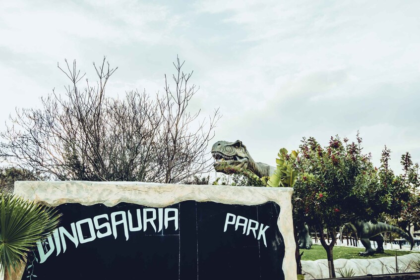 Picture 2 for Activity Dinosauria Park and Planetarium Admission Ticket