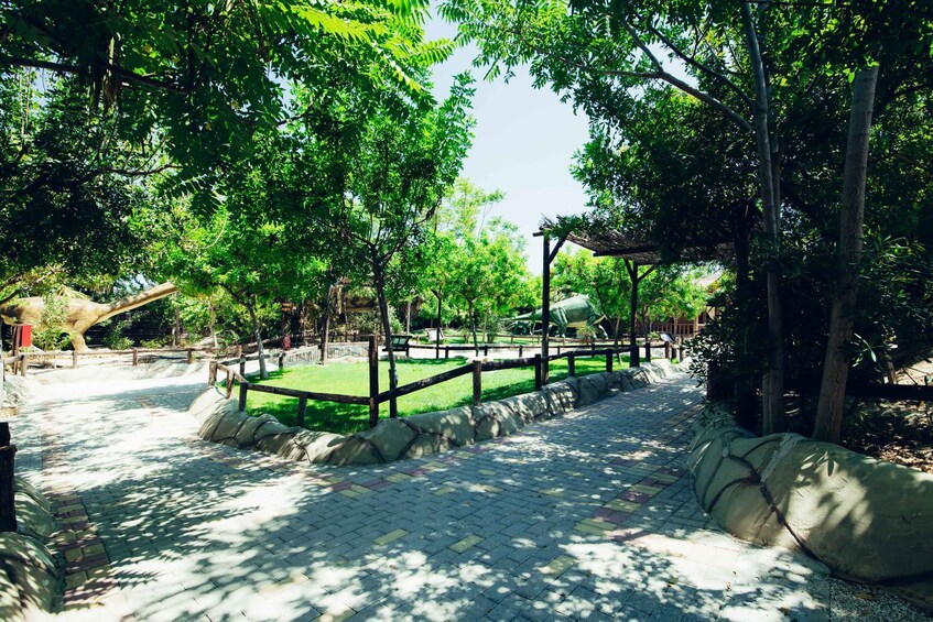 Picture 7 for Activity Dinosauria Park and Planetarium Admission Ticket