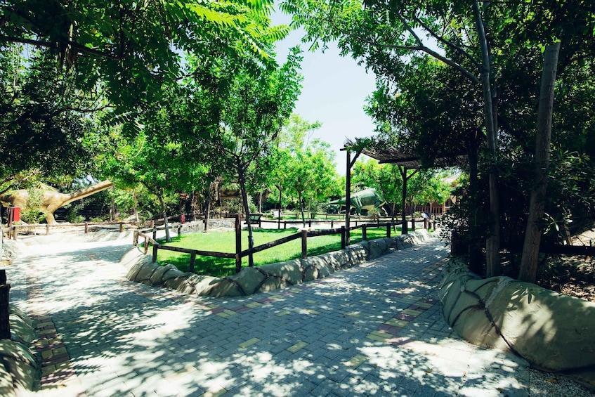 Picture 7 for Activity Dinosauria Park and Planetarium Admission Ticket