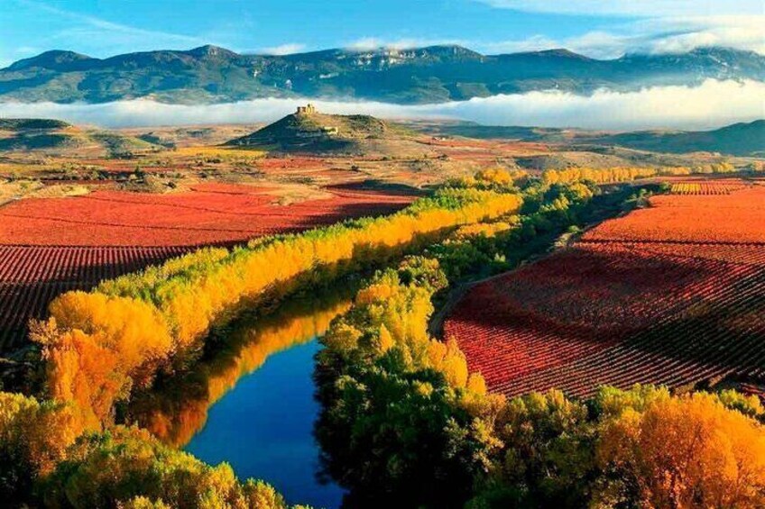 Private Tour to La Rioja Wineries from Madrid