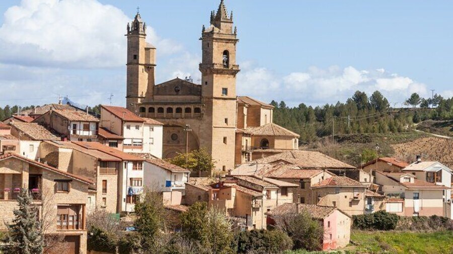Private Tour to La Rioja Wineries from Madrid