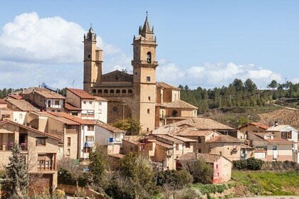 Private Tour to La Rioja Wineries from Madrid