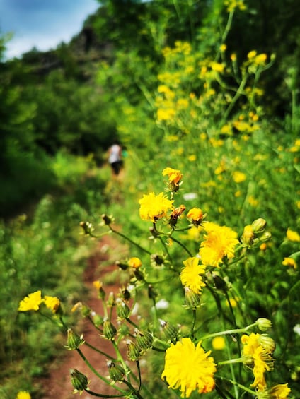 Picture 7 for Activity From Belgade: Mtn. Kosmaj Horse riding & hike Full-Day Tour