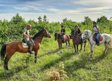 From Belgade: Mtn. Kosmaj Horse riding & hike Full-Day Tour