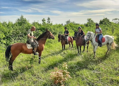 From Belgade: Mtn. Kosmaj Horse riding & hike Full-Day Tour