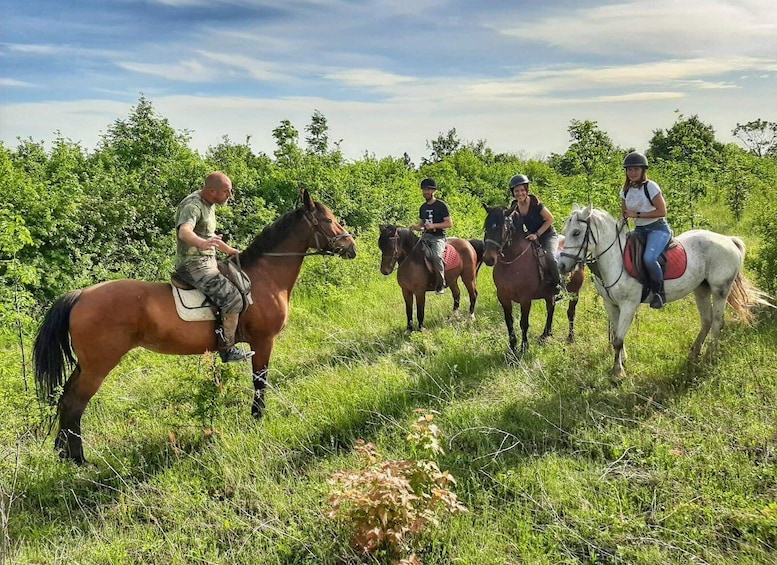 From Belgade: Mt. Kosmaj Horse Riding & Hike Full-Day Tour