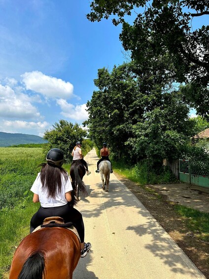 Picture 1 for Activity From Belgade: Mtn. Kosmaj Horse riding & hike Full-Day Tour