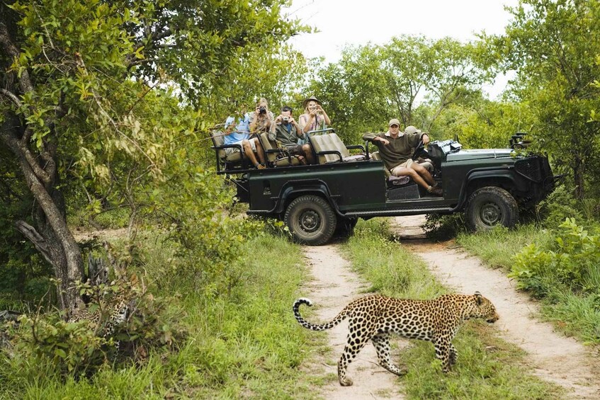 Picture 5 for Activity Wilpattu National Park Safari Tour from Dambulla