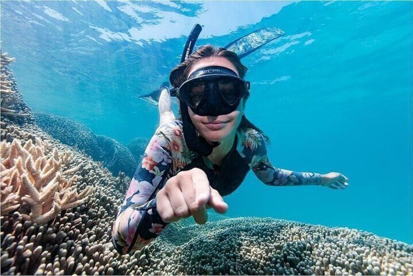 Snorkel the Great Barrier Reef