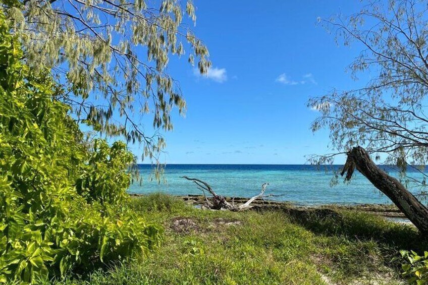 Lady Musgrave Island Walk