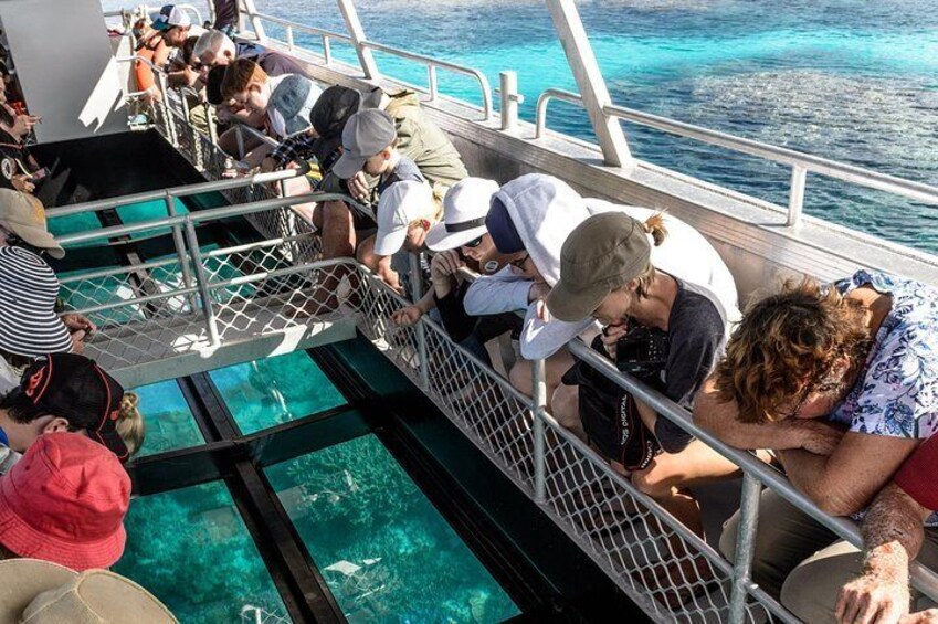 Glass Bottom Boat Tours