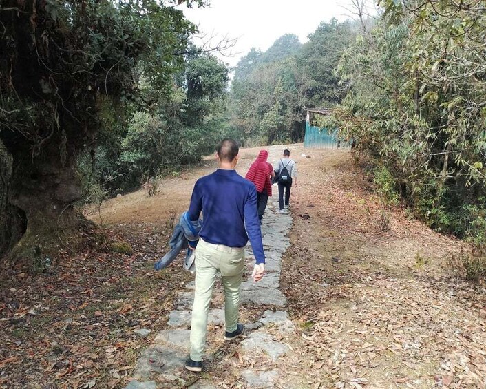 Picture 1 for Activity From Pokhara: 2 Night 3 Day Panchase Hill Trek (Private)