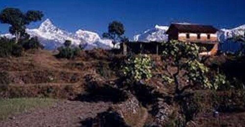 Von Pokhara: 2 Nächte 3 Tage Panchase Hill Trek (Privat)