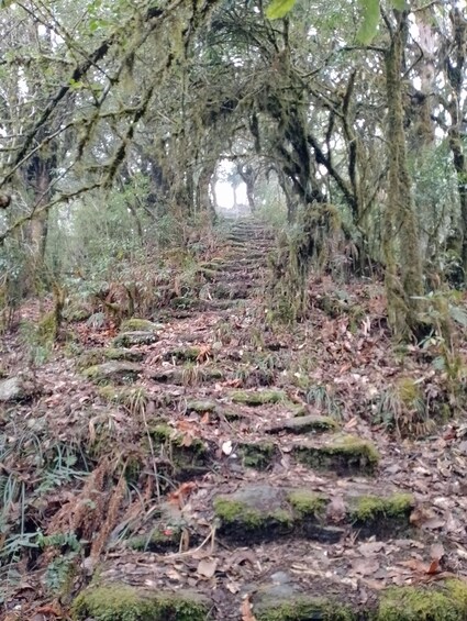 Picture 2 for Activity From Pokhara: 2 Night 3 Day Panchase Hill Trek (Private)