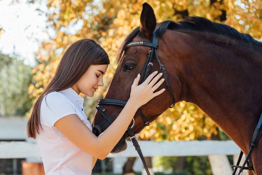 Torremolinos: Guided tour to stables of El Ranchito