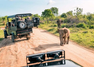 From Western Province: 2-Day Hill Country Highlights Trip