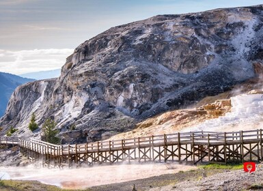 Yellowstone & Grand Teton: Tur Taman Nasional dengan Pemandu Mandiri Terbai...