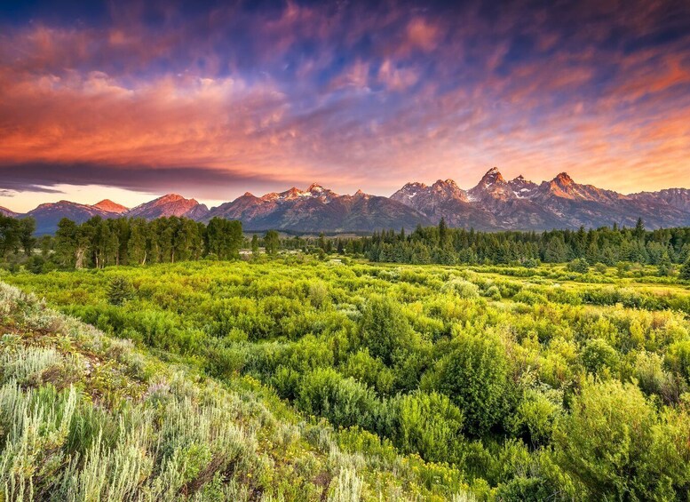 Picture 14 for Activity Grand Teton National Park: Self-Guided GPS Audio Tour