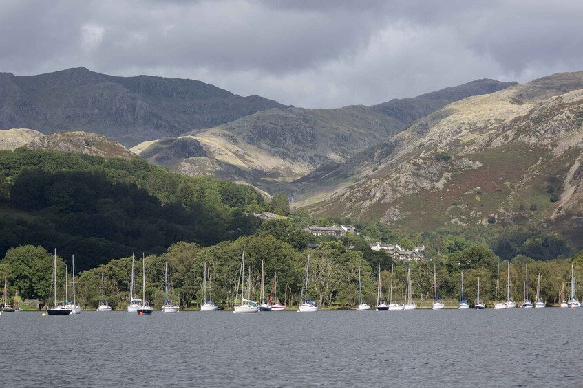 Picture 5 for Activity Coniston Water: 60-Minute Wild Cat Island Cruise