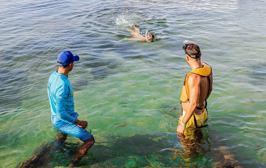 Picture 2 for Activity Cancun: Snorkeling Tour for Non-Swimmers