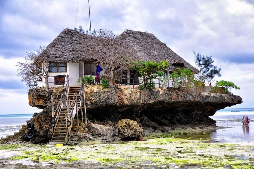 Picture 9 for Activity Mnemba Island, Jozani Forest, The Rock Restaurant, Kuza Cave