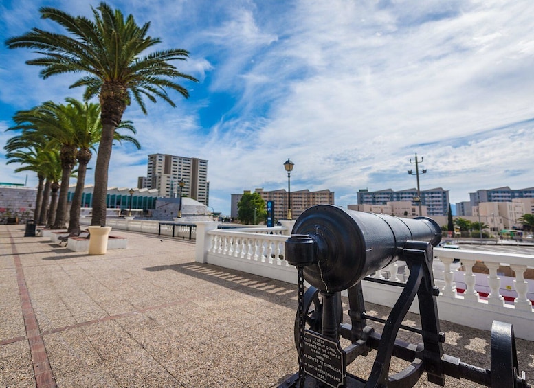 Picture 1 for Activity From Costa del Sol: Gibraltar Dolphin Watching by Boat