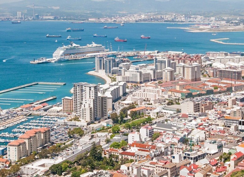 Picture 2 for Activity From Costa del Sol: Gibraltar Dolphin Watching by Boat