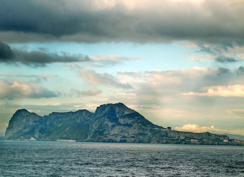 Picture 3 for Activity From Costa del Sol: Gibraltar Dolphin Watching by Boat